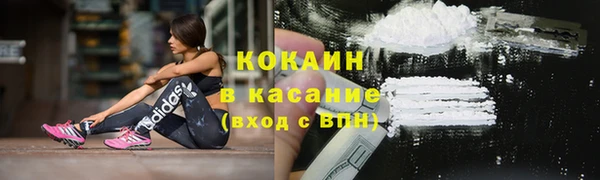 крисы Няндома