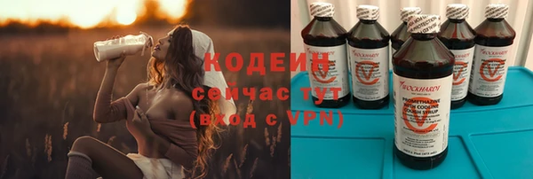 крисы Няндома
