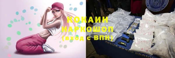 крисы Няндома