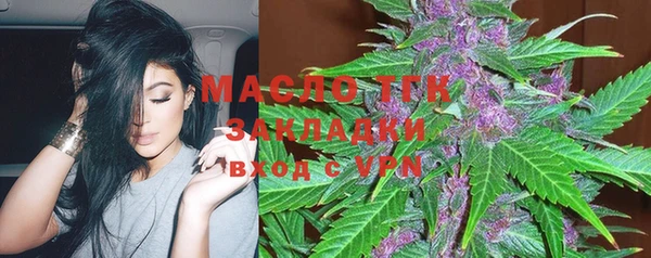 крисы Няндома